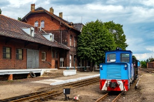 Lyd-1-252: Pleszew Miasto