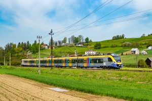 EN79-002: Wilczyska