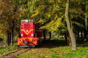 Lxd2-333: Jędrzejów Wąskotorowy - Jasionna