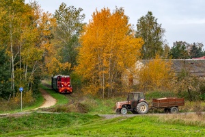 Lxd2-333: Jędrzejów Wąskotorowy - Jasionna