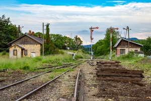 Rabka Zaryte - 17.06.2023