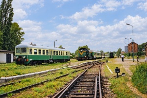 SN61-183: Płoty