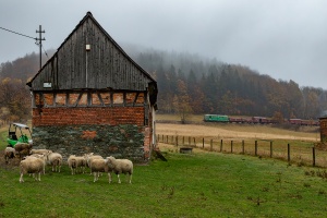 ST43-355: Marciszów - Płonina