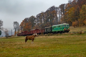 ST43-355: Płonina - Marciszów