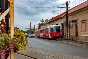 M8S #1006: Ghioroc, Strada Dr. Buta Augustin M8S #1006: Ghioroc, Strada Dr. Buta Augustin