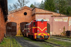 Lxd2-373: Rudy