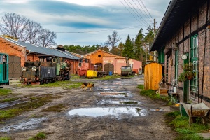 Pw53-02: Rudy