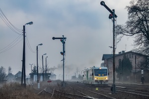SA108-006: Witnica SA108-006: Witnica