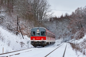 SA110-02+05: Wiewiecko SA110-02+05: Wiewiecko