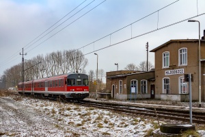 SA110-08+13: Miłogoszcz SA110-08+13: Miłogoszcz