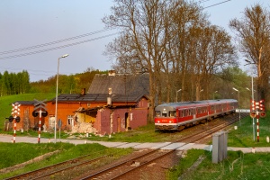 SA110-10+04+09: Wiewiecko SA110-10+04+09: Wiewiecko