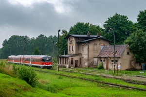SA110-10+12: Osina SA110-10+12: Osina