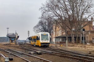 SA132-002: Jawor SA132-002: Jawor