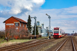 SA132-004: Pępowo SA132-004: Pępowo