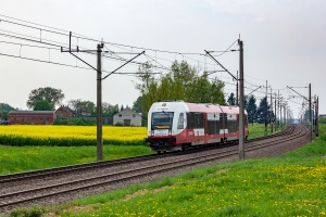 SA133-022: Kowalewo Pomorskie - Zieleń