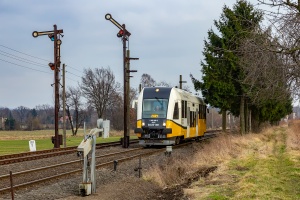 SA135-001: Jerzmanki