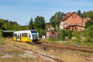 SA135-001: Bartnica