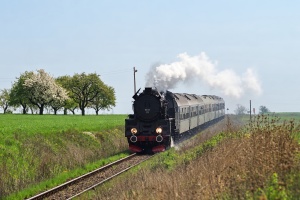 Ol49-111: Nowy Widzim Ol49-111: Nowy Widzim
