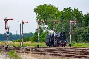 Ol49-69: Złocieniec