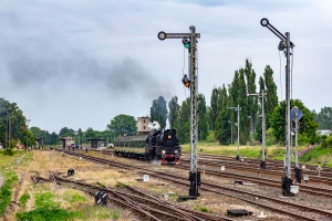 Ol49-69: Złocieniec