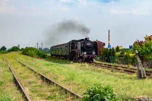 Pm36-2: Leszno - Wilkowice