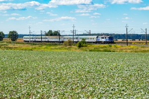 EP07-479: Drzeńsko - Kowalów