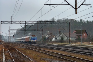 EU07-238: Rębusz