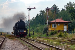 Ty42-107: Jeleń Ty42-107: Jeleń