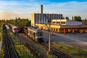 ST43-R007: Czeremcha ST43-R007: Czeremcha