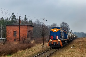 TEM2-037: Brzostów Wielkopolski