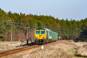 JT42CWRM-005: Trzebiszewo - Brzozowiec
