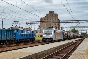 E483-254: Pelplin E483-254: Pelplin