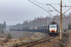 E189-457: Florek E189-457: Florek
