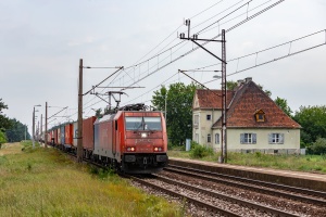 E186-242: Warząchewka
