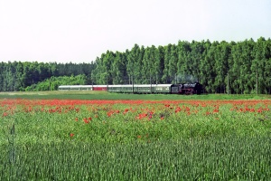 BR03 2204: Boleszkowice - Mieszkowice BR03 2204: Boleszkowice - Mieszkowice