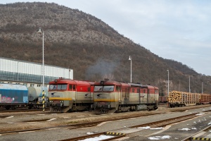 751 173: Plešivec