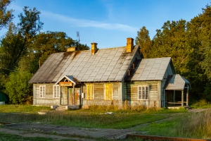 Jeleń