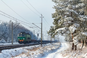 ET22-063: Reptowo - Miedwiecko