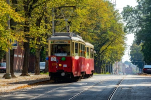 4N+4ND #293+343: Szczecin, ul. Niemierzyńska 