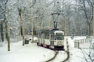 102Na #604: Szczecin, pętla Las Arkoński 102Na #604: Szczecin, pętla Las Arkoński