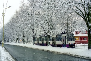 105Na #1021+1022: Szczecin, ul. Żołnierska 105Na #1021+1022: Szczecin, ul. Żołnierska