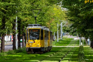 T6A2D #203+204: Szczecin, al. Piastów 